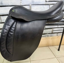 17 1/2” XW Oakfield Santana