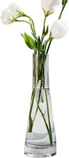 Hand-Made Blown Art Bud Glass