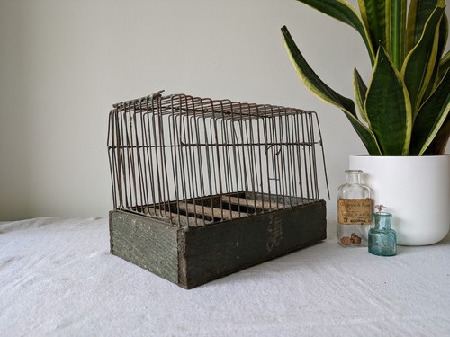 Vintage green wire show carry - vintage,