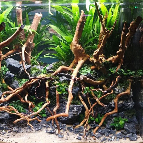 Aquarium natural driftwood - natural,