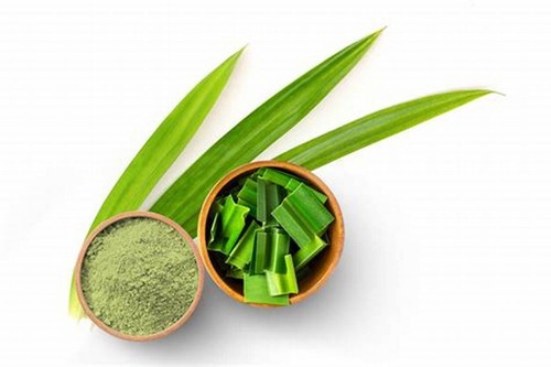 Dried pandan leaf leave cut - dried,