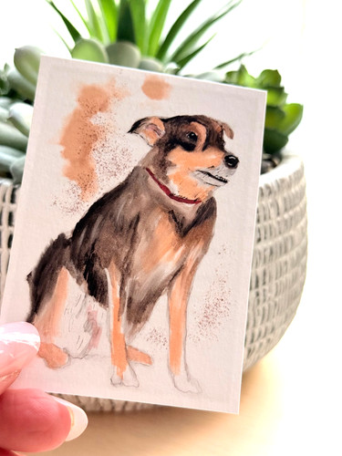 Aceo print scruff - 'scruff', |