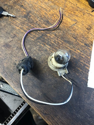 Reverse light bulb holder - n/s,