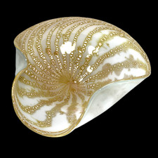 Vintage Murano Curved Bowl