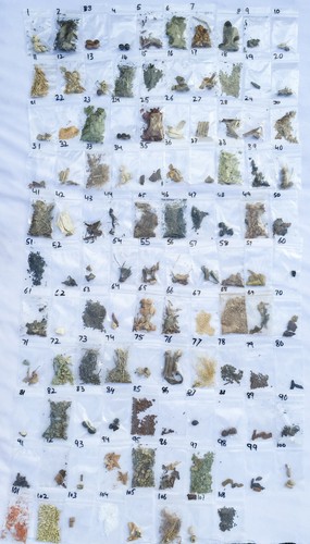 Rare magical herbs set - rare,