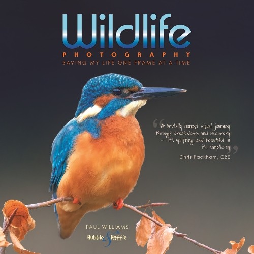 Wildlife photography - ,