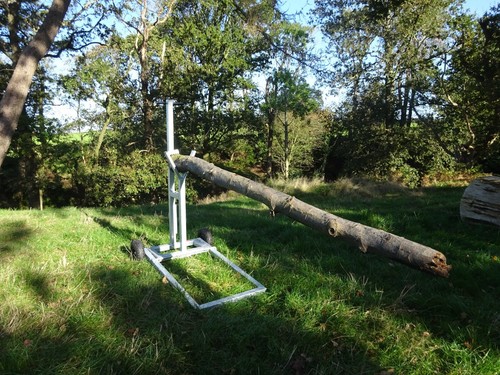 Saw horse log holder - log, for