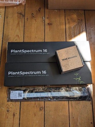Mother plantspectrum inch - 16,