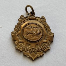 Swimming Medal. 