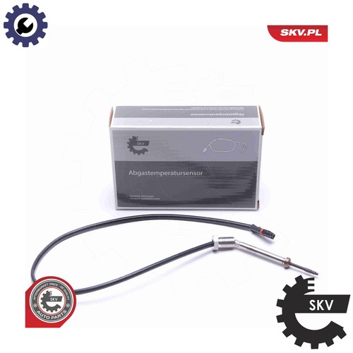 Sensor exhaust gas - sensor, temperature