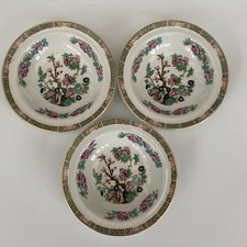 3 x Maddock Indian Tree