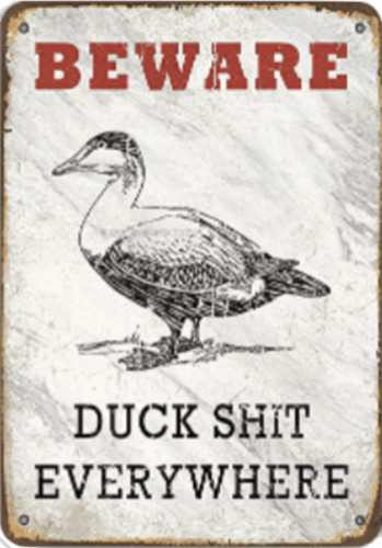Beware duck t - duck, everywhere