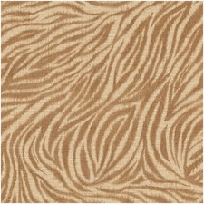 Zebra Animal Print Wallpaper