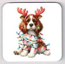 Welsh Springer Spaniel