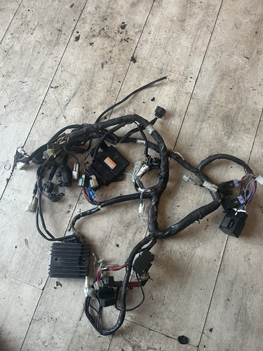 Yamaha xt660 complete wiring - yamaha,