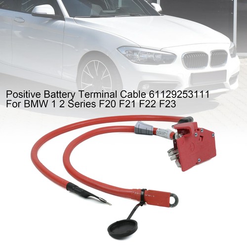 Positive battery terminal - battery,