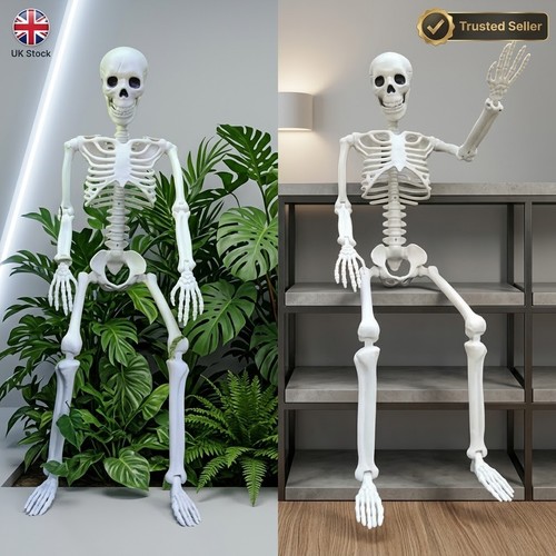 Giant life size - giant, skeleton