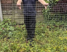 16 x Galvanised Welded Wire Panel 2.4m x 1.22m 50mm