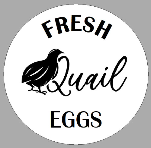 Small round fresh quail - x,