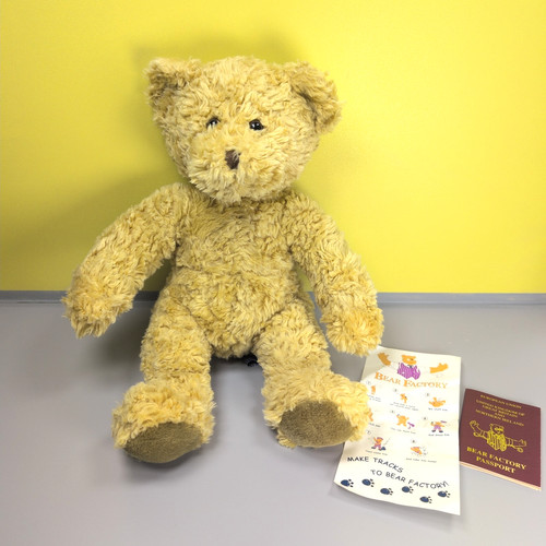 Bear factory brown - bear,