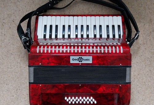 Accordion treble key 24 - accordion, 32