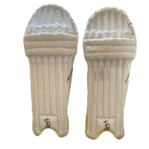 Cricket batting pads - batting, for