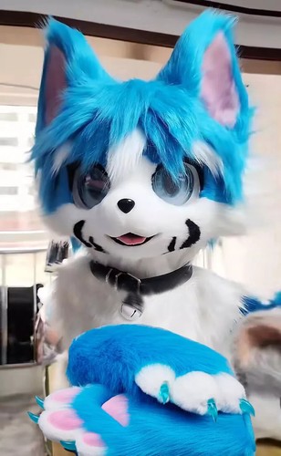 Fursuit husky fox mascot - husky, (head