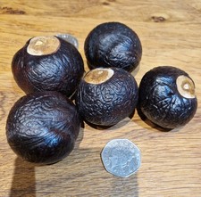 Giant Conkers Christmas Dec's Wreath Making Ideas