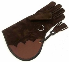Falconry Glove Leather Bird