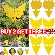 41Pk Fly Catcher Sticky Traps