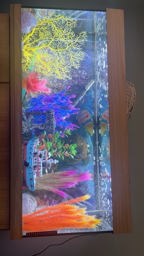 Juwel rio 180 aquarium - juwel, led