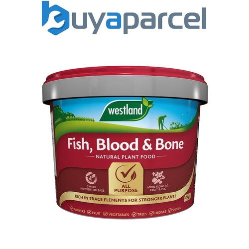 Westland fish blood - fish,