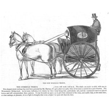 The Curricle Tibus Horse and Carriage - Antique Print 1845