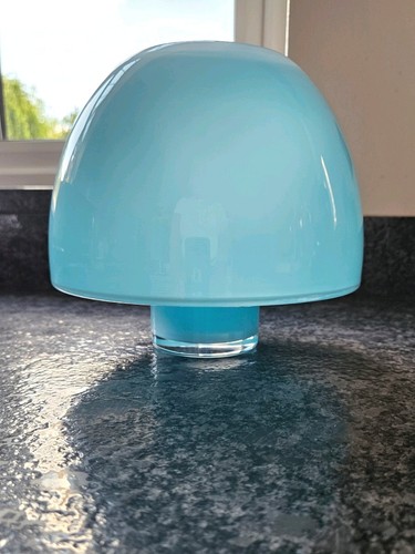 Vintage pale blue encased - pale,