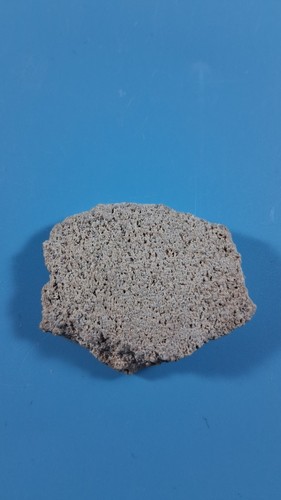 Argentinosaurus egg shell - argentinosaurus,