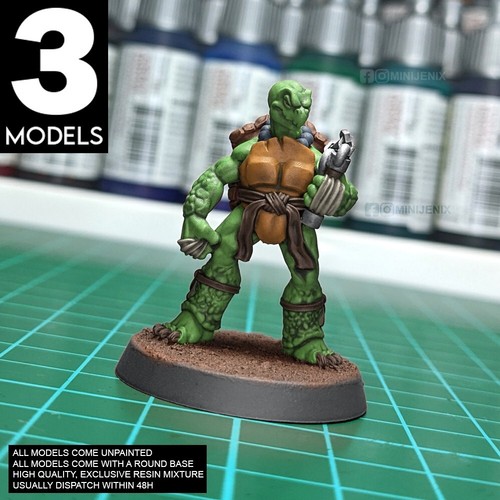 Ninja turtle monk - turtle,