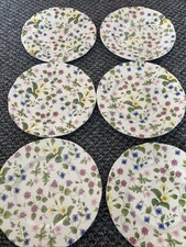 Queens Country Meadow Bone China 20 cm Side Plates X 6