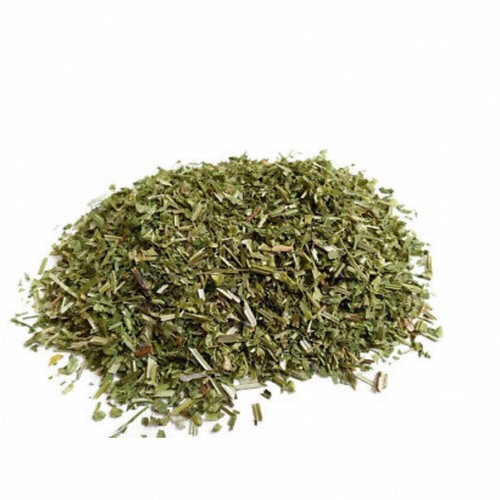 Skullcap scullcap skull - skullcap,