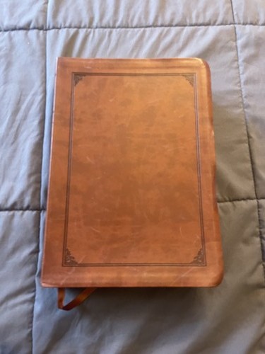 Esv study bible english - study,