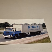 BUY 1 GET 1 FREE! Bird's