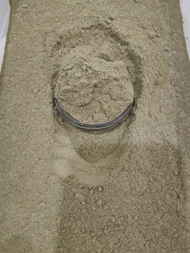 Tyme powder 200 gms - powder,