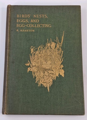 Birds nests eggs - nests,, and
