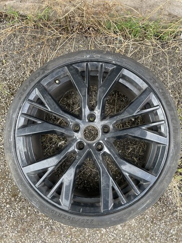 Genuine santiago - genuine, 19”