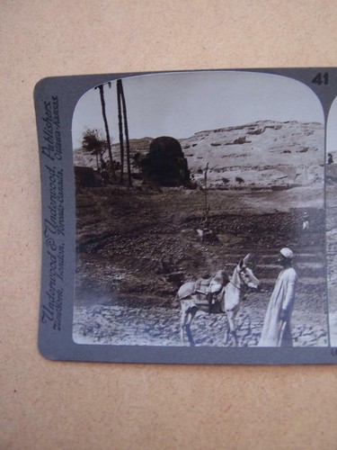 Stereoscopic stereo view - stereoscopic, stereo-view