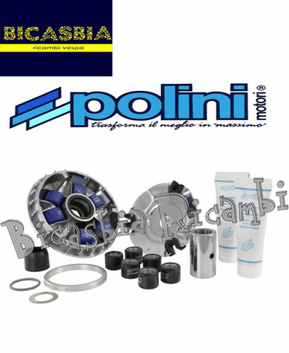 1289 polini variator piaggio - polini,