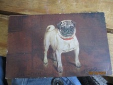 F T Davies Artist Drawn Pug Dog Spratts Advertising Postcard Unposted c1910s