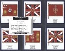 HUNTER-FULL SET- IRISH GUARDS
