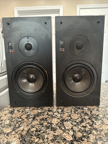 Celestion international ditton - celestion,