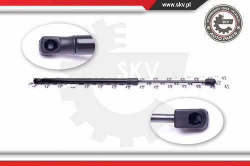 52skv546 esen skv gas - esen,