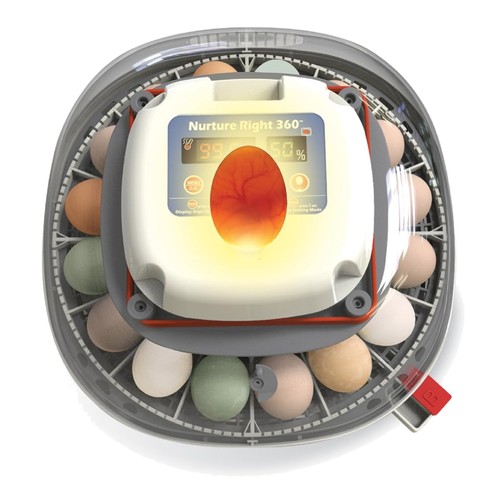 Nurture right egg incubator - right,